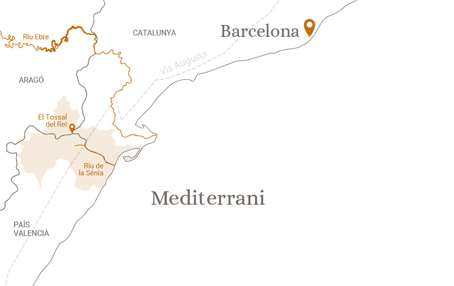 Etern Olive Oil_Territori Sénia